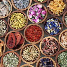 Kräuter in kleinen Schalen.